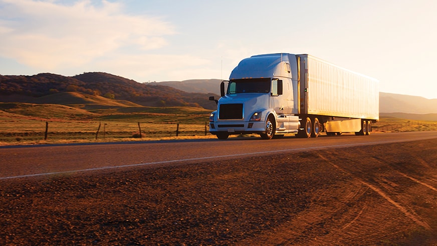 Excellent fleet of trucks